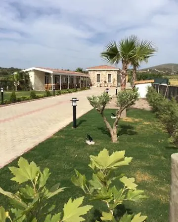 Olimbera
